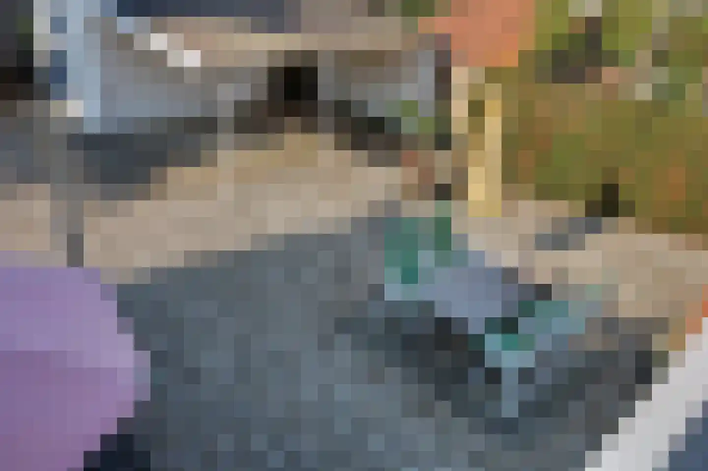 Julianastraat 5 's-Gravendeel thumbnail 33