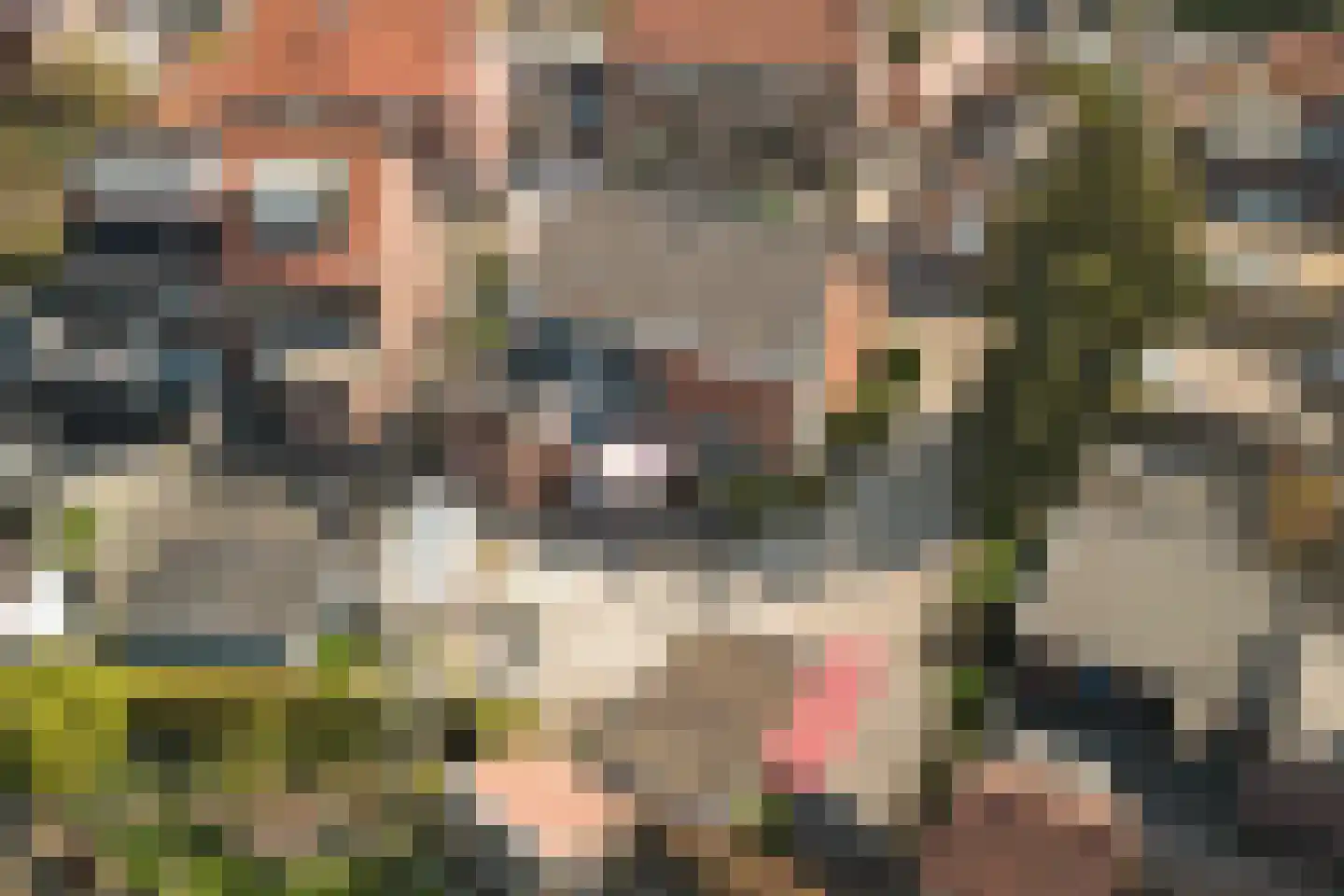 Julianastraat 5 's-Gravendeel thumbnail 47