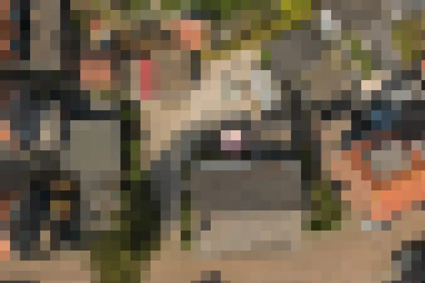 Julianastraat 5 's-Gravendeel thumbnail 48
