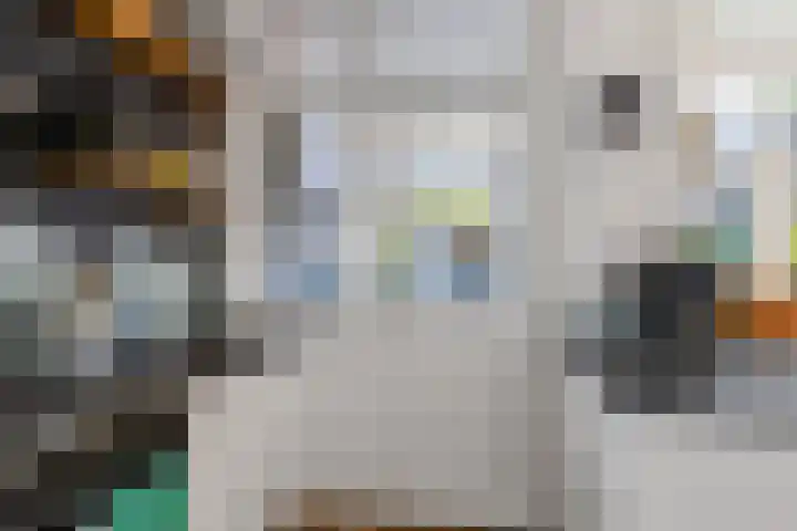 Julianastraat 5 Woerden thumbnail 19