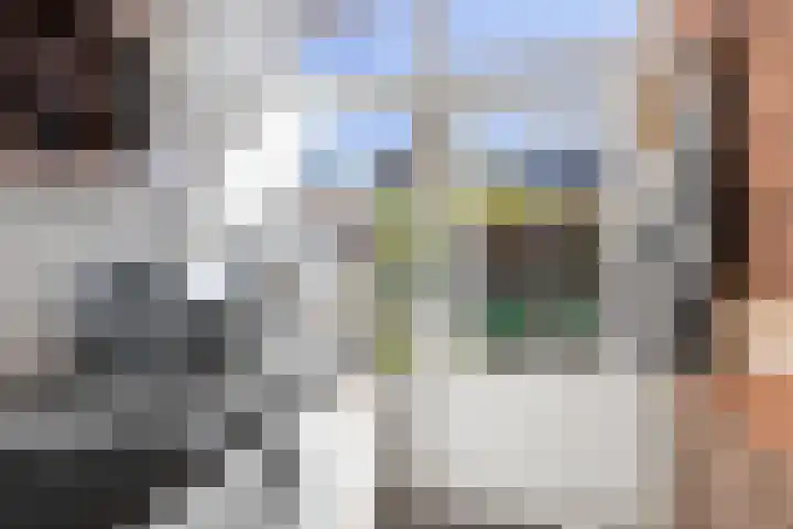 Julianastraat 5 Woerden thumbnail 20