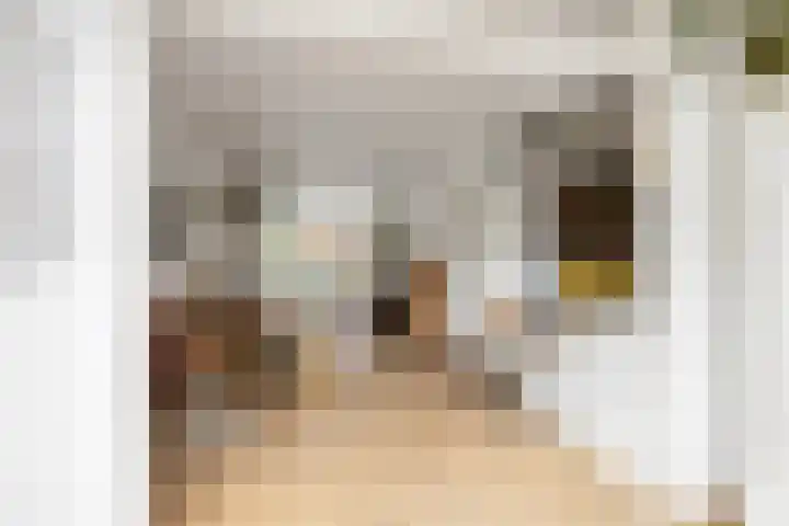 Julianastraat 5 Woerden thumbnail 22
