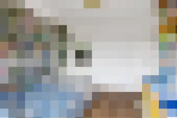 Julianastraat 5 Woerden thumbnail 31