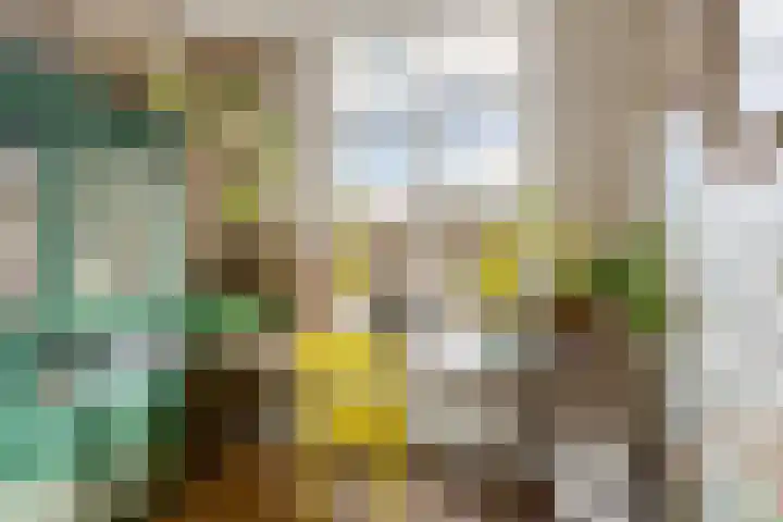 Julianastraat 5 Woerden thumbnail 32