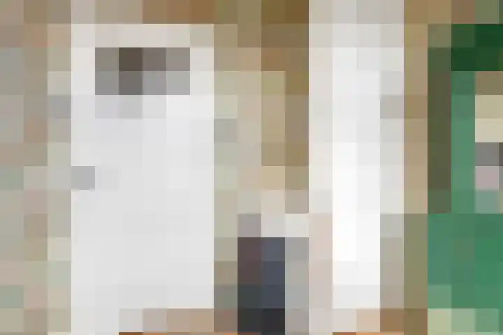 Julianastraat 5 Woerden thumbnail 33