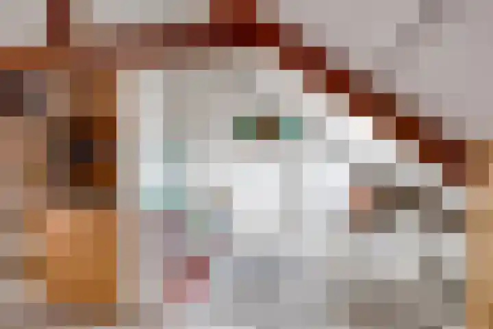 Julianastraat 5 Woerden thumbnail 40
