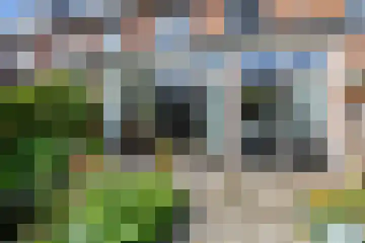 Julianastraat 5 Woerden thumbnail 43