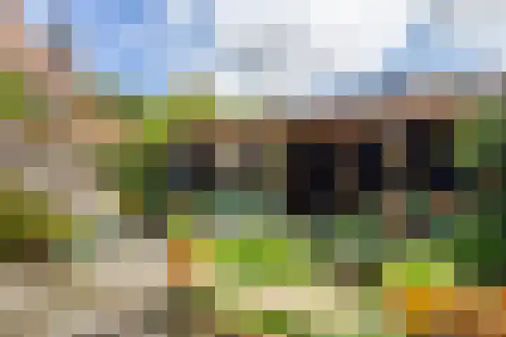 Julianastraat 5 Woerden thumbnail 45