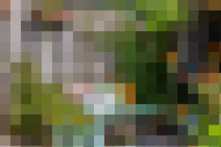 Julianastraat 5 Woerden thumbnail 46