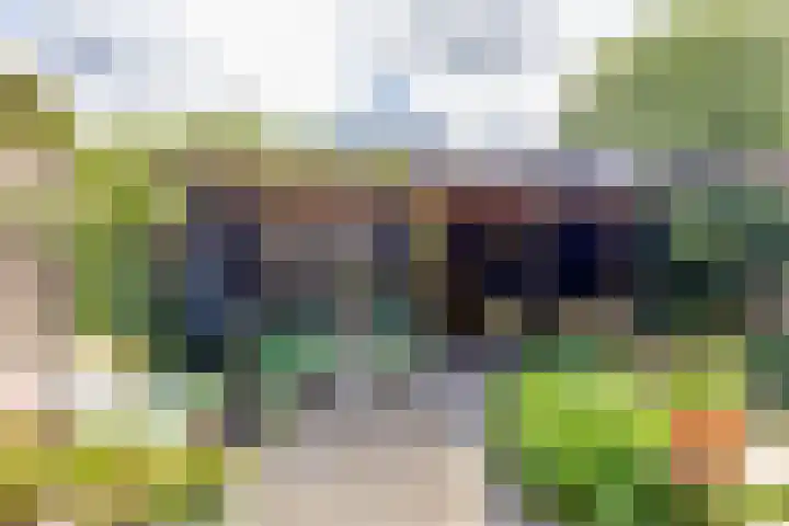 Julianastraat 5 Woerden thumbnail 47