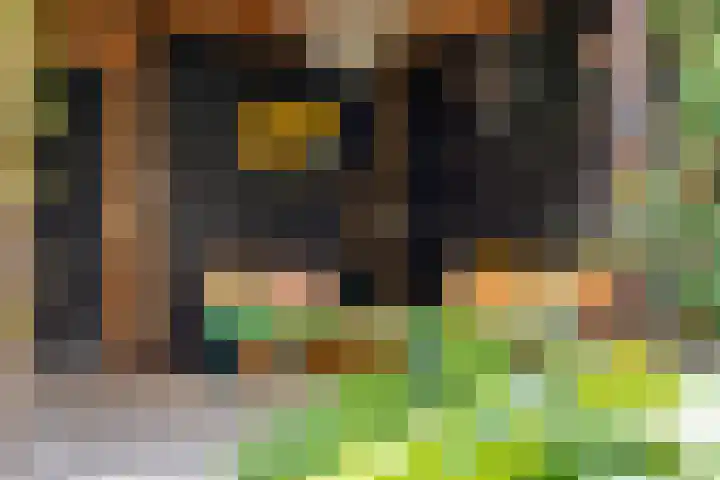 Julianastraat 5 Woerden thumbnail 48