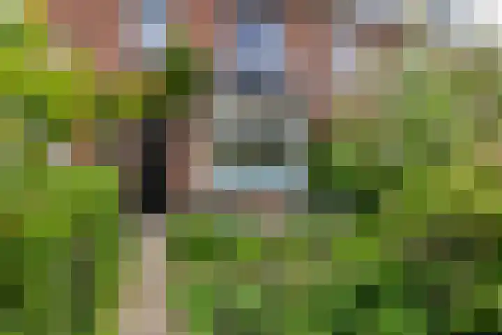 Julianastraat 5 Woerden thumbnail 5