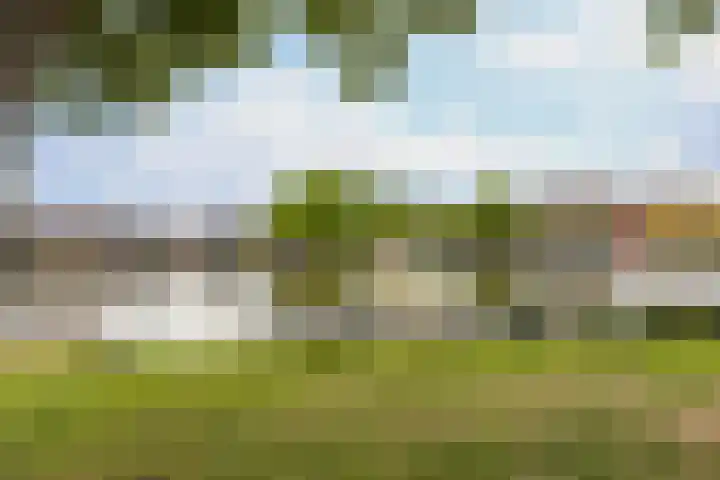 Julianastraat 5 Woerden thumbnail 52