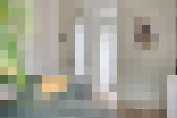Julianastraat 5 Zonnemaire thumbnail 12