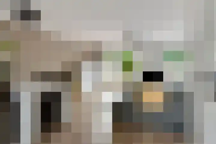 Julianastraat 5 Zonnemaire thumbnail 13