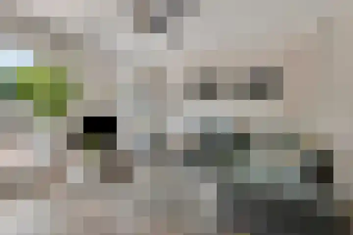 Julianastraat 5 Zonnemaire thumbnail 14