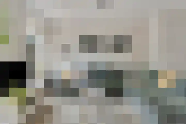 Julianastraat 5 Zonnemaire thumbnail 15
