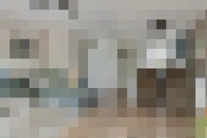 Julianastraat 5 Zonnemaire thumbnail 17