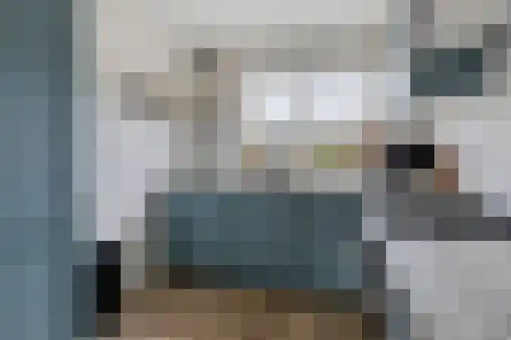 Julianastraat 5 Zonnemaire thumbnail 19