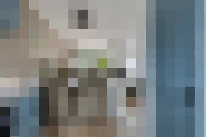 Julianastraat 5 Zonnemaire thumbnail 20