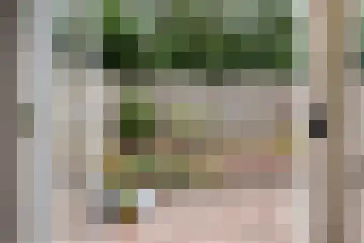 Julianastraat 5 Zonnemaire thumbnail 23