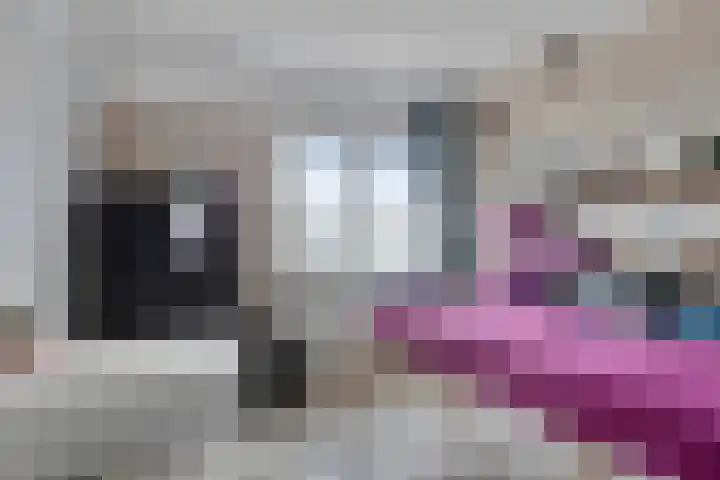 Julianastraat 5 Zonnemaire thumbnail 29