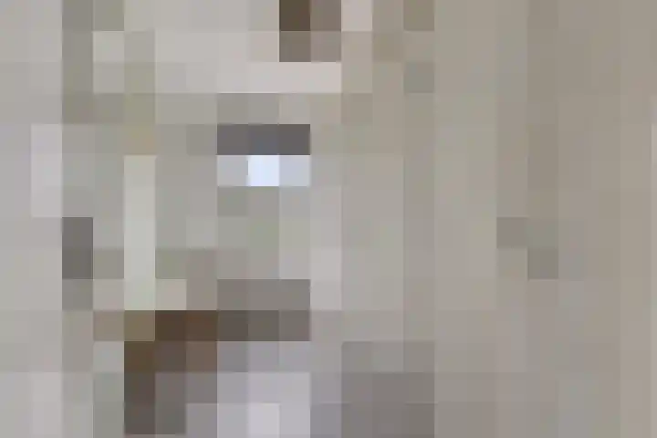 Julianastraat 5 Zonnemaire thumbnail 30
