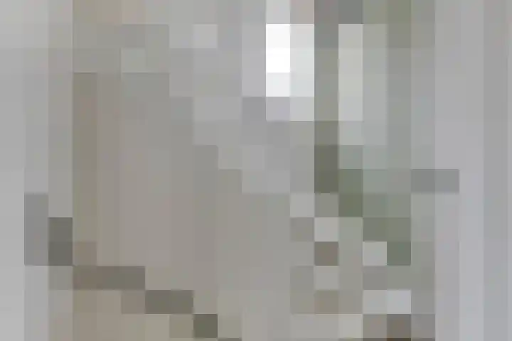 Julianastraat 5 Zonnemaire thumbnail 35
