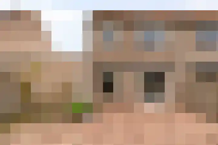 Julianastraat 5 Zonnemaire thumbnail 39