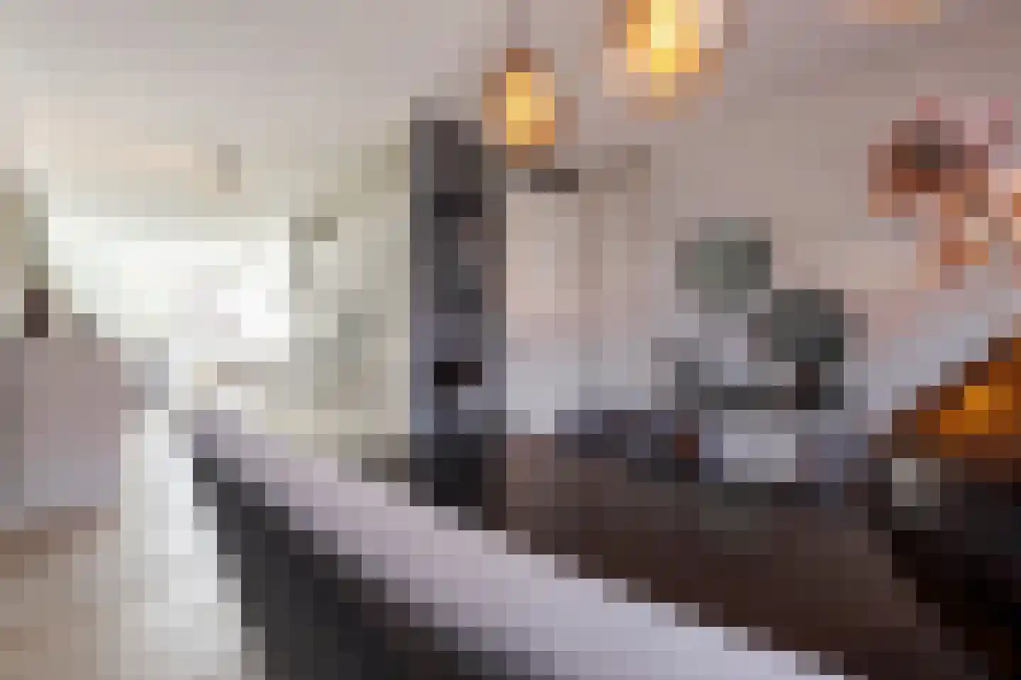 Julianastraat 50 a Sliedrecht thumbnail 10