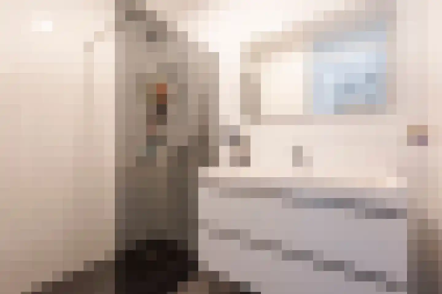 Julianastraat 50 a Sliedrecht thumbnail 13