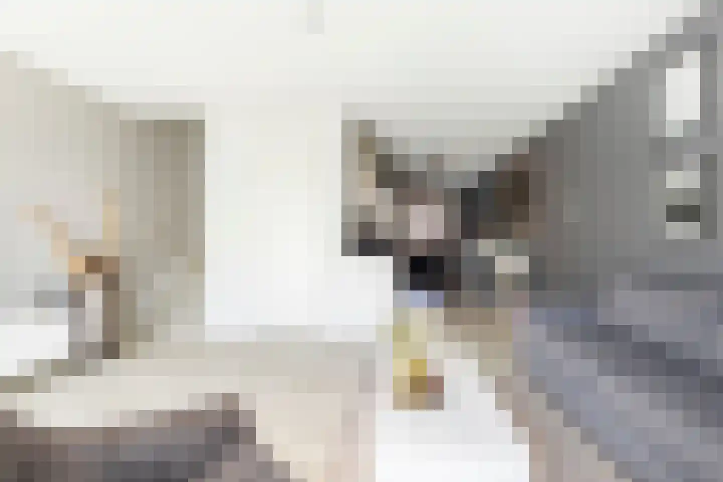 Julianastraat 50 a Sliedrecht thumbnail 6