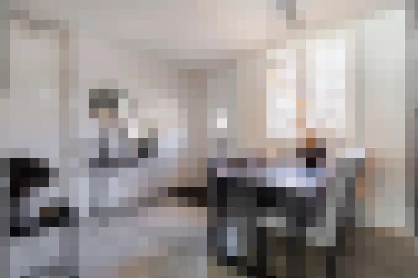 Julianastraat 50 a Sliedrecht thumbnail 9