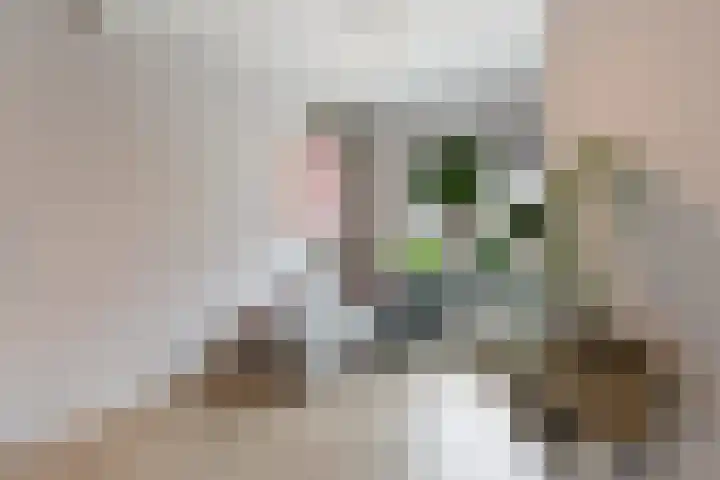 Julianastraat 50 Boskoop thumbnail 10