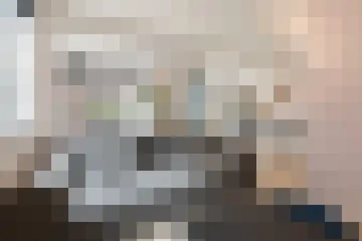 Julianastraat 50 Boskoop thumbnail 11