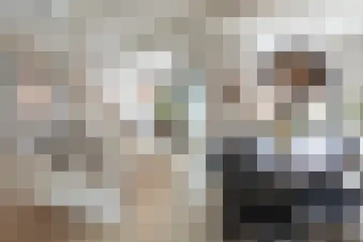 Julianastraat 50 Boskoop thumbnail 17