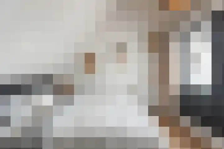 Julianastraat 50 Boskoop thumbnail 22