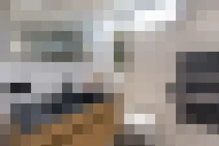 Julianastraat 50 Boskoop thumbnail 25