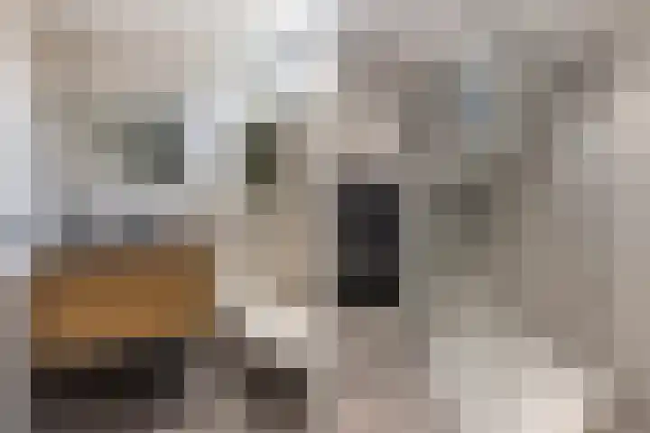 Julianastraat 50 Boskoop thumbnail 26