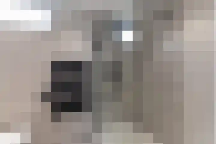 Julianastraat 50 Boskoop thumbnail 27