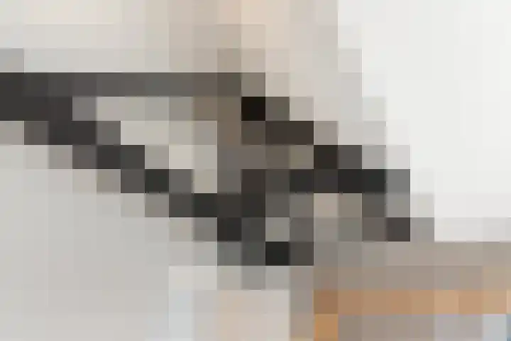 Julianastraat 50 Boskoop thumbnail 29