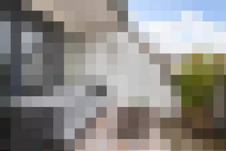 Julianastraat 50 Boskoop thumbnail 32