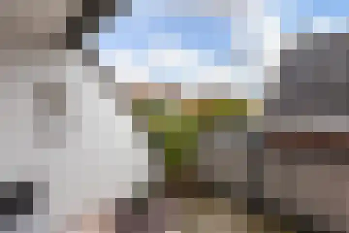 Julianastraat 50 Boskoop thumbnail 33