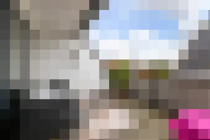 Julianastraat 50 Boskoop thumbnail 6
