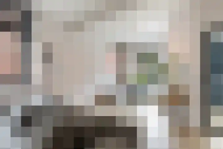 Julianastraat 50 Boskoop thumbnail 9
