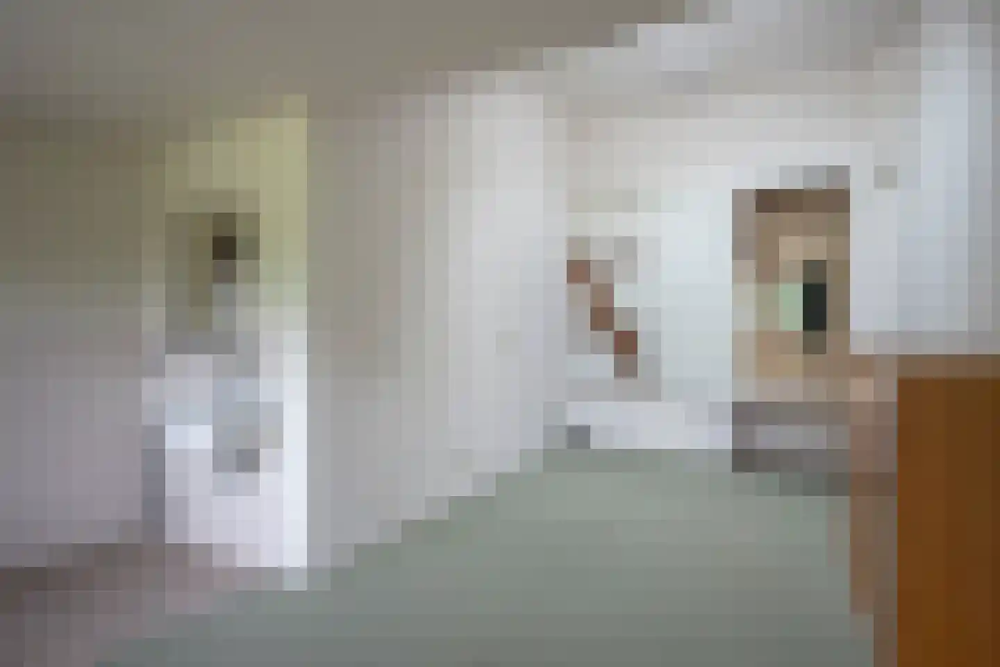 Julianastraat 50 Epen thumbnail 18