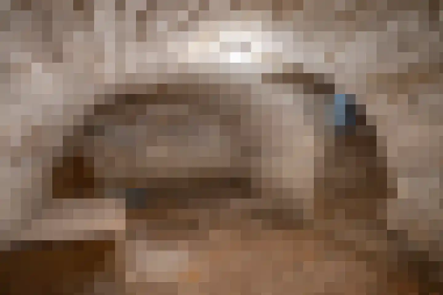 Julianastraat 50 Epen thumbnail 26