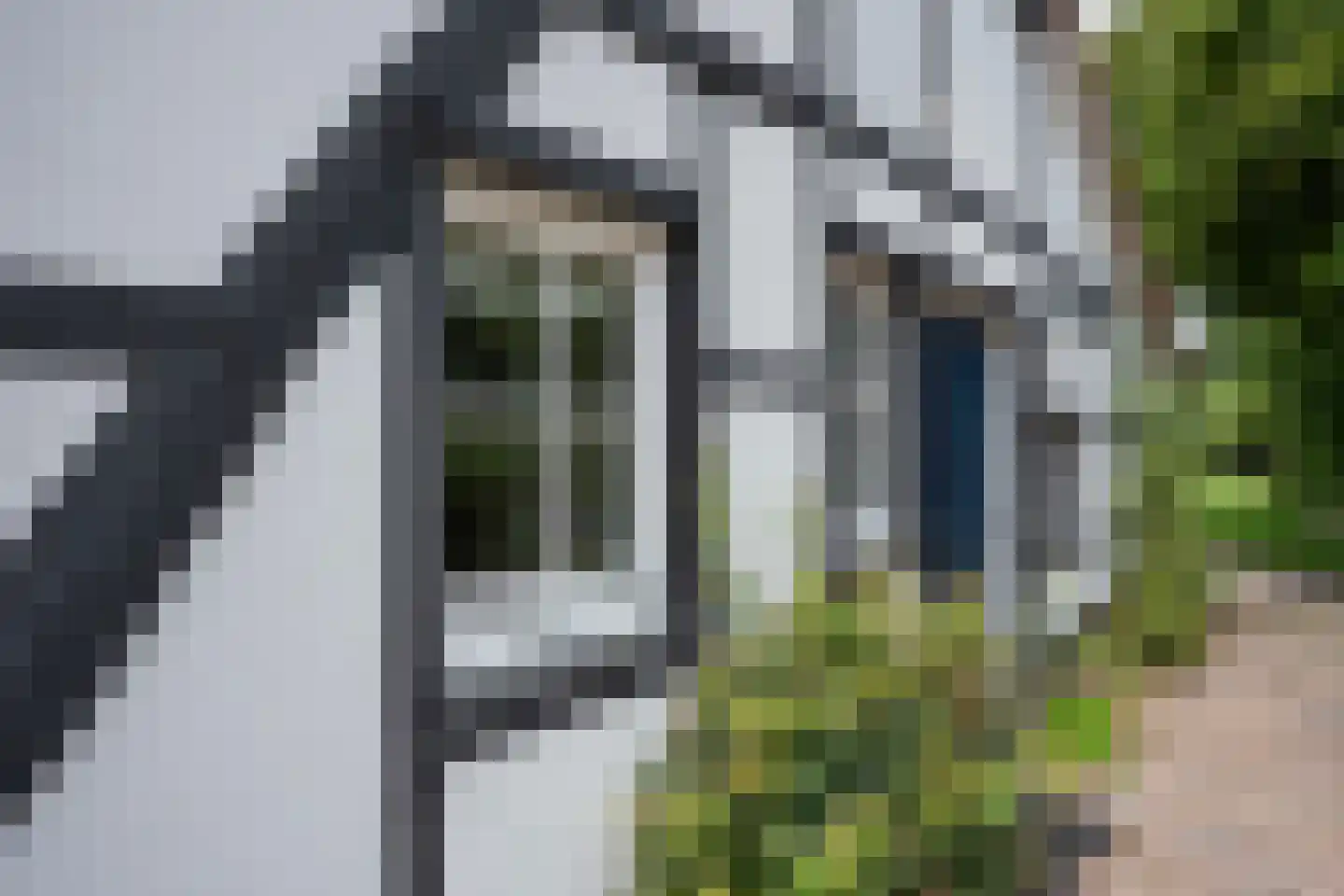 Julianastraat 50 Epen thumbnail 29