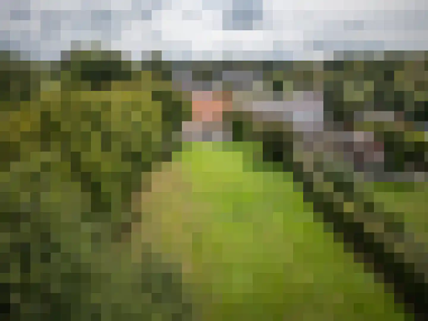 Julianastraat 50 Epen thumbnail 35