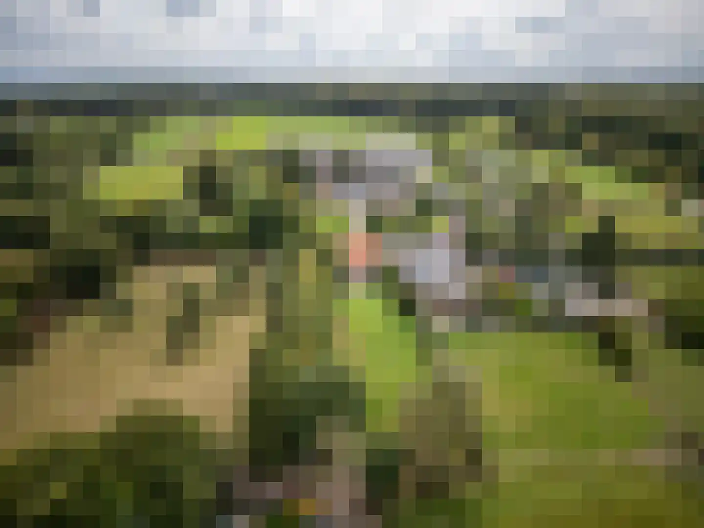 Julianastraat 50 Epen thumbnail 36